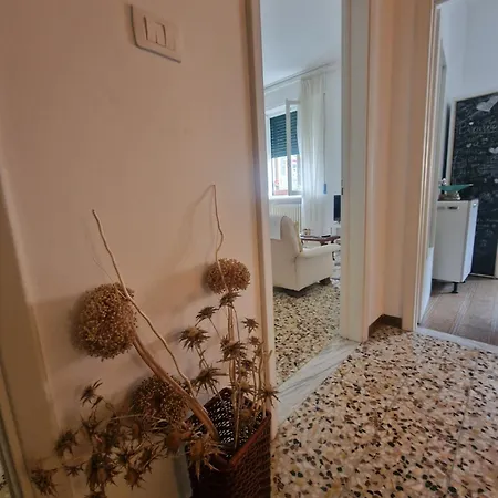 Apartment A Casa